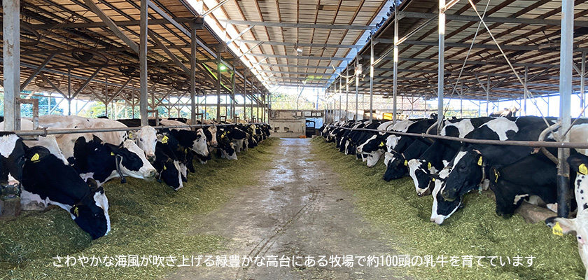 緑豊かな牧場